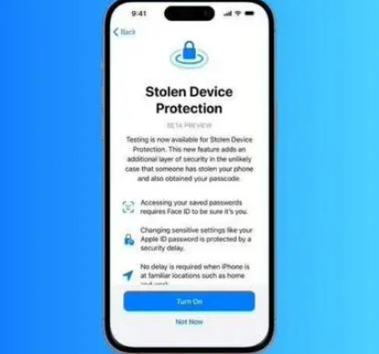 河口苹果授权维修店分享被盗设备保护功能开启方法 