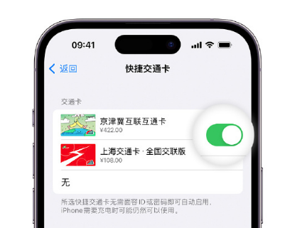 河口apple维修点分享iPhone上更换Apple Pay快捷交通卡手绘卡面 