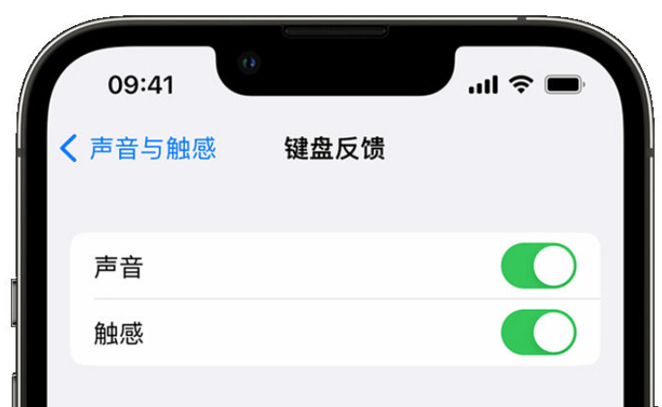 河口苹果手机维修分享iPhone 14触感键盘使用方法 