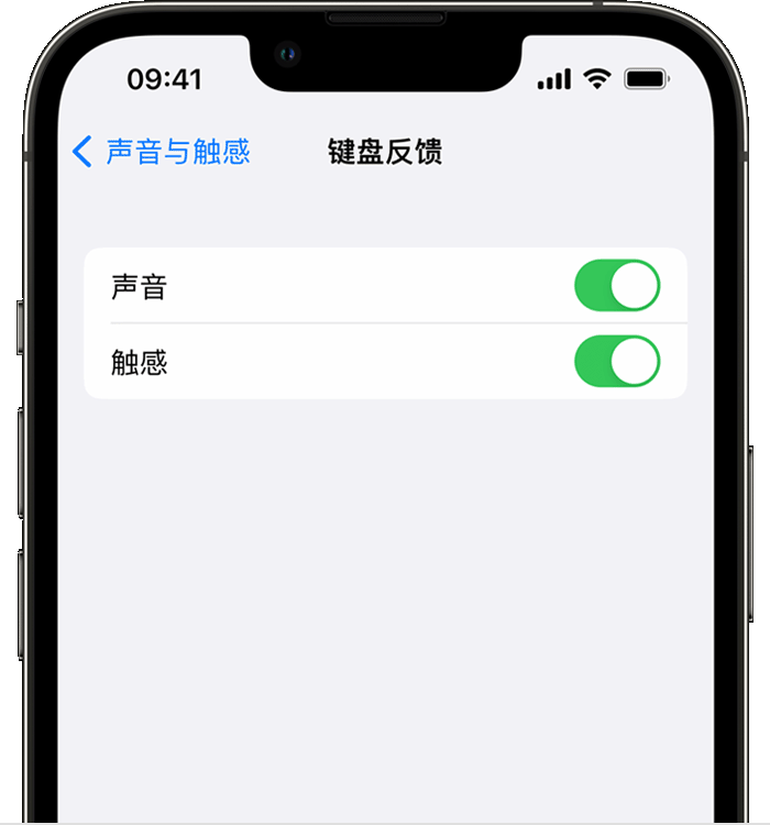 河口苹果14维修店分享如何在 iPhone 14 机型中使用触感键盘 