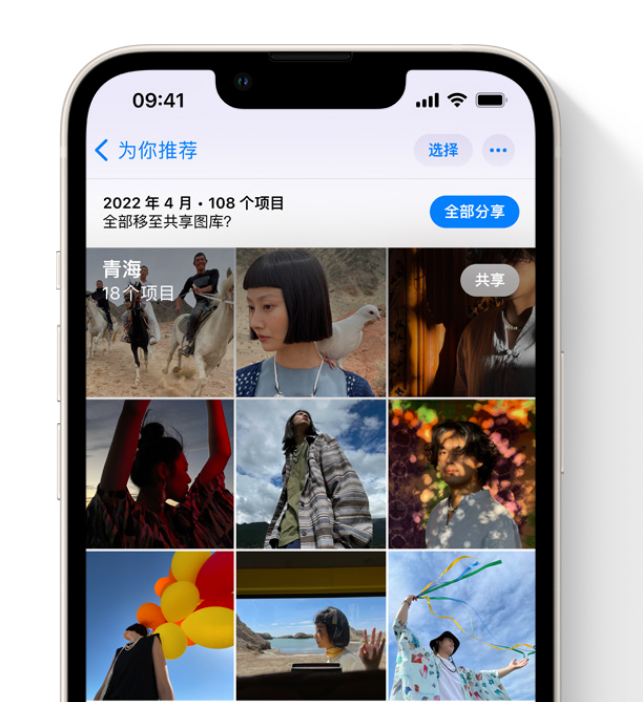 河口苹果维修网点分享在 iPhone 上使用共享图库 