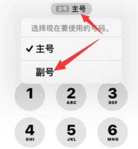 河口苹果14维修店分享iPhone 14 Pro Max使用副卡打电话的方法 