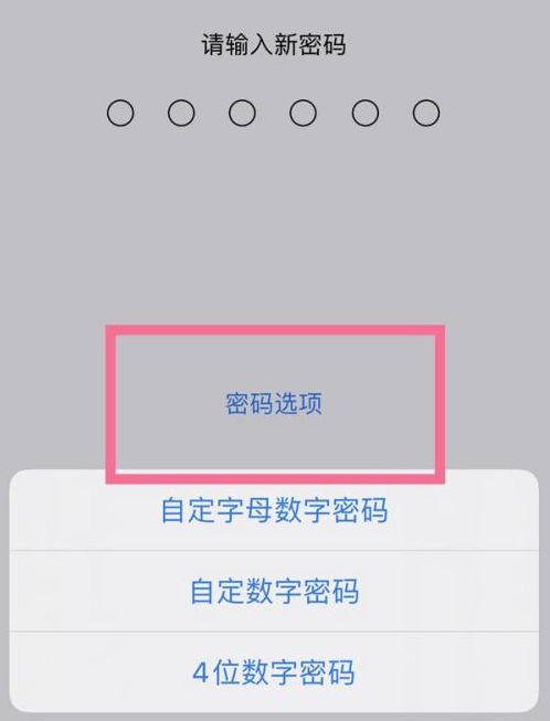 河口苹果14维修分享iPhone 14plus设置密码的方法 