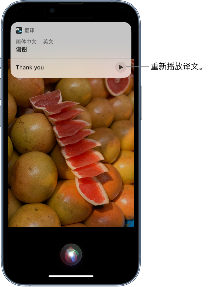 河口苹果14维修分享 iPhone 14 机型中使用 Siri：了解 Siri 能帮你做什么 