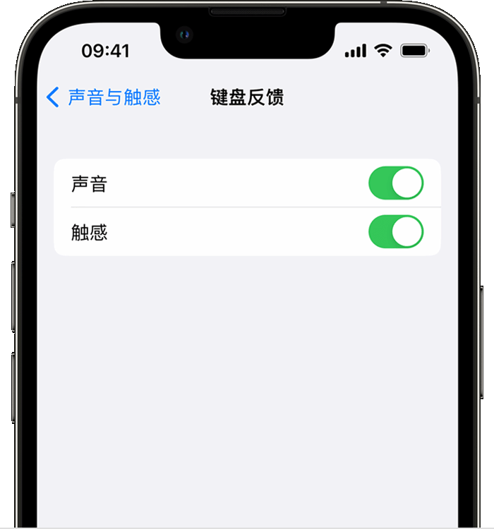 河口苹果14维修分享iPhone 14 系列机型如何开启键盘声音或触感反馈 
