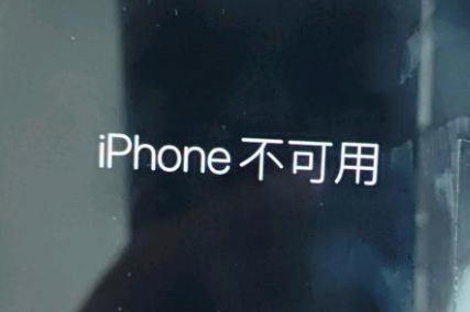 河口苹果服务网点分享锁屏界面显示“iPhone 不可用”如何解决 