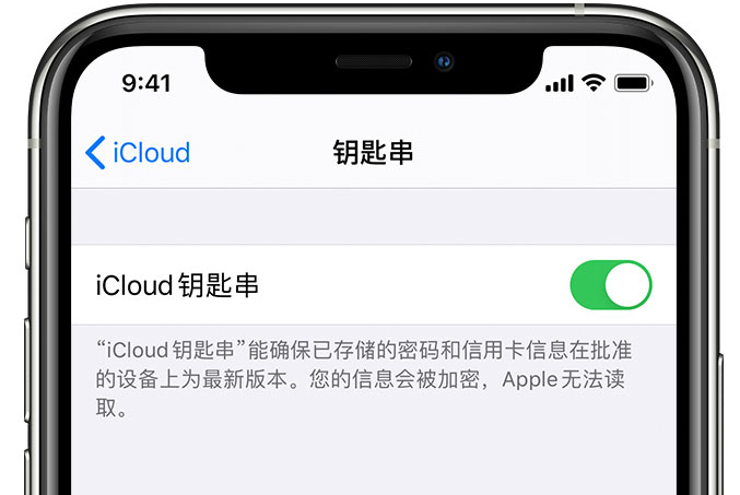 河口苹果手机维修分享在 iPhone 上开启 iCloud 钥匙串之后会储存哪些信息 