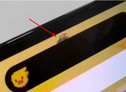 河口苹果14维修分享iPhone 14 Pro Max灵动岛怎么养宠物 