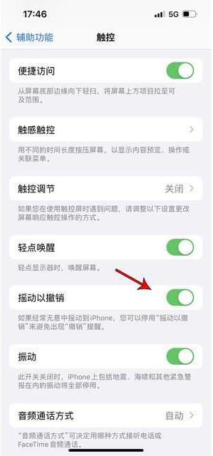 河口苹果手机维修分享iPhone手机如何设置摇一摇删除文字 