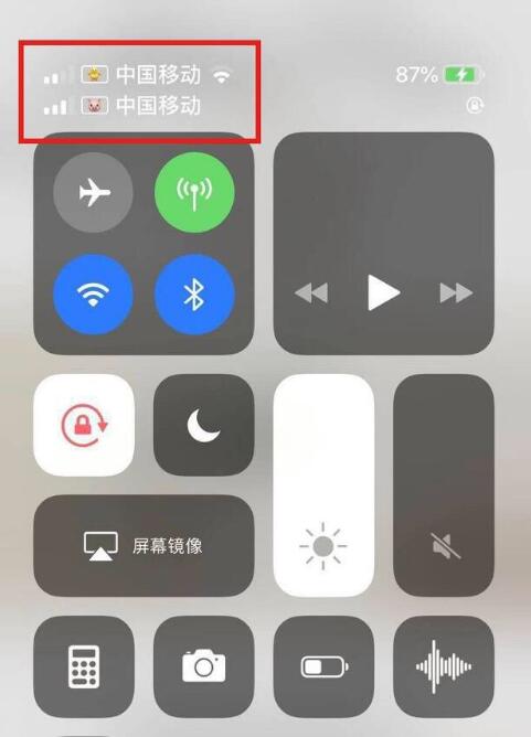 河口苹果手机维修分享为 iPhone 12 双卡设置标签 