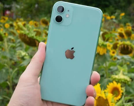 河口苹果维修点分享iPhone 11锁屏密码认知与使用科普 